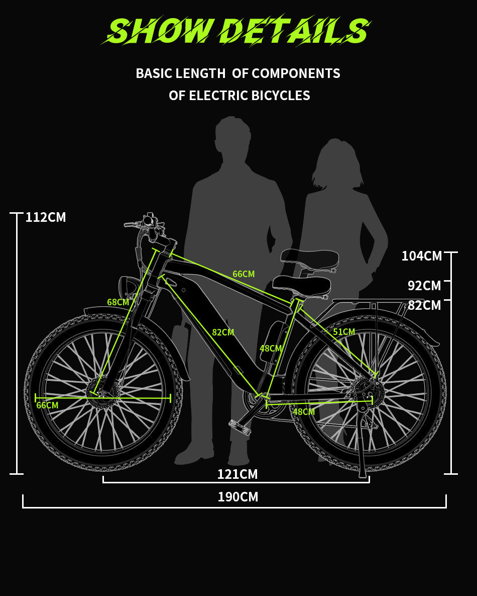 DUOTTS F26 PRO 750 W*2 Elektrofahrrad