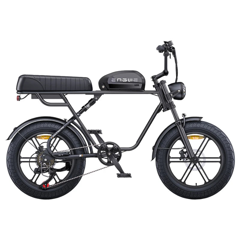 ENGWE M1 Elektrofahrrad 15,6 Ah + 13 Ah