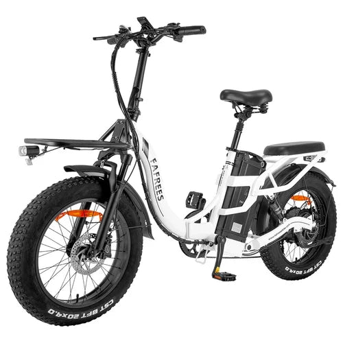 FAFREES F20 X-MAX 30Ah Elektrofahrrad