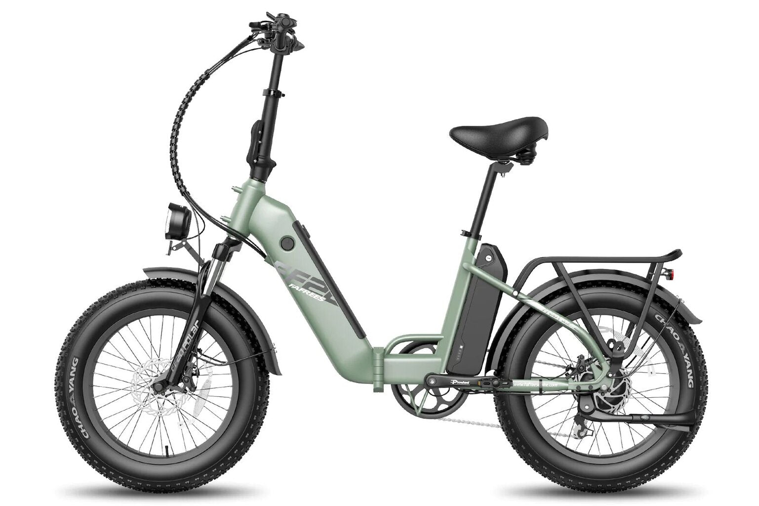 FAFREES F20 Polar Elektrofahrrad