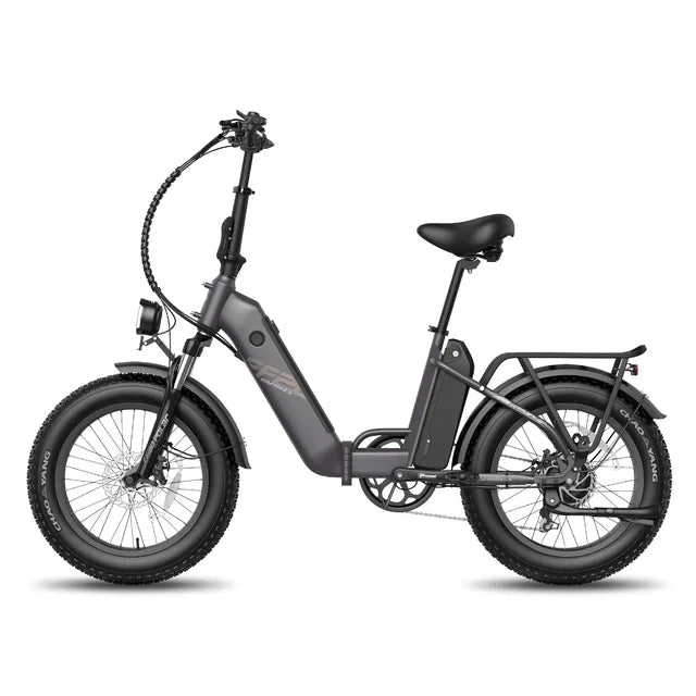 FAFREES F20 Polar Elektrofahrrad