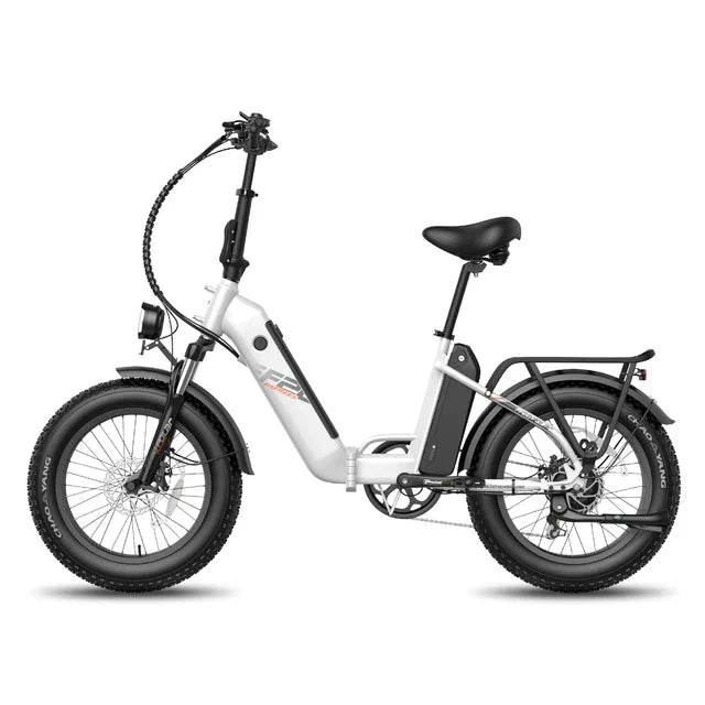 FAFREES F20 Polar Elektrofahrrad