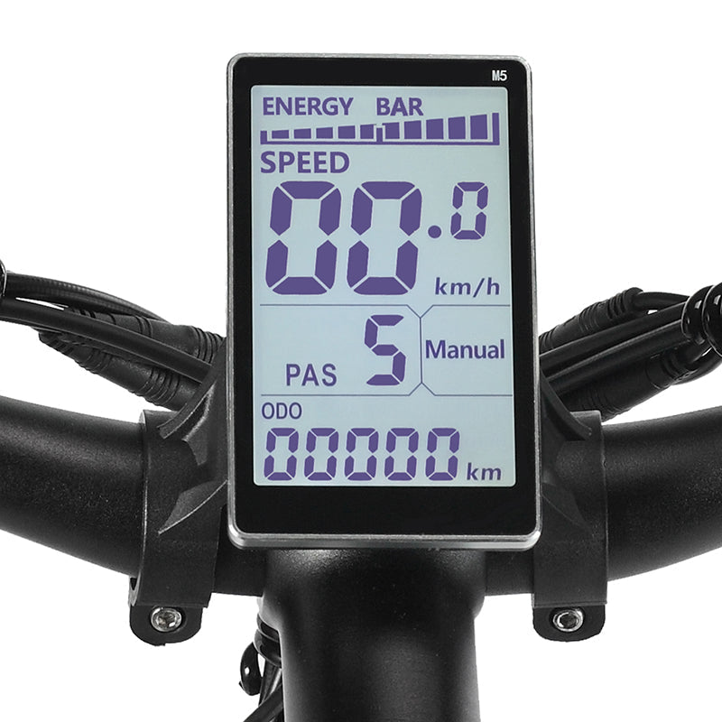 PHILODO H7 Pro Elektrofahrrad 1000W