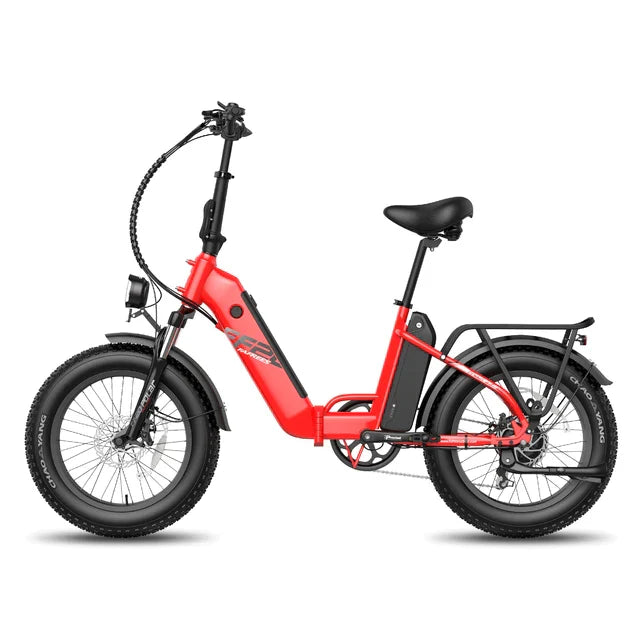 FAFREES F20 Polar Elektrofahrrad